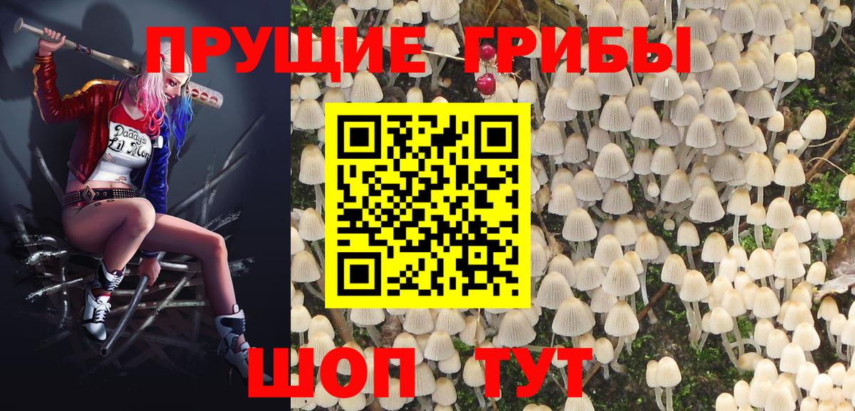 Дубна  Псилоцибиновые грибы GOLDEN TEACHER  сколько стоит  Вход с VPN 